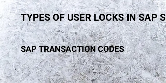Types of user locks in sap security Tcode in SAP
