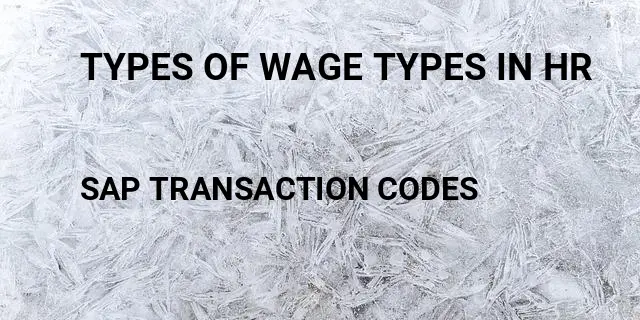 Types of wage types in hr Tcode in SAP