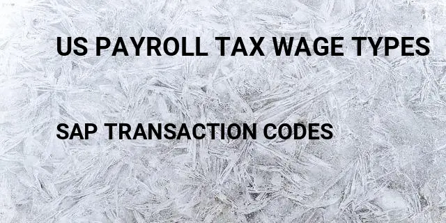 Us payroll tax wage types Tcode in SAP