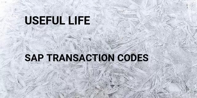 Useful life Tcode in SAP