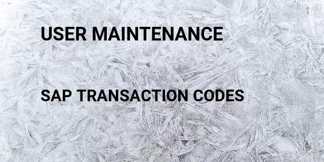 User maintenance Tcode in SAP