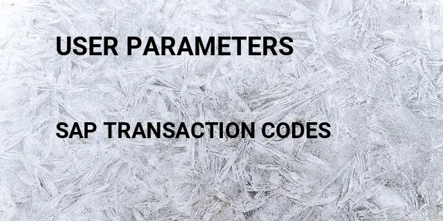 User parameters Tcode in SAP