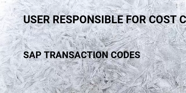 User responsible for cost center Tcode in SAP