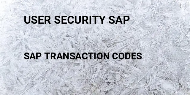 User security sap Tcode in SAP