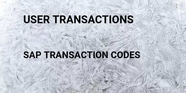 User transactions Tcode in SAP