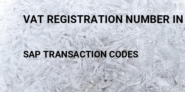 Vat registration number in vendor master sap Tcode in SAP