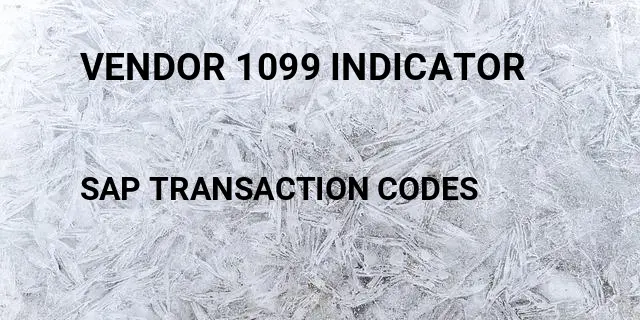 Vendor 1099 indicator Tcode in SAP