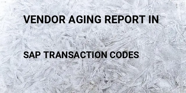 Vendor aging report in Tcode in SAP