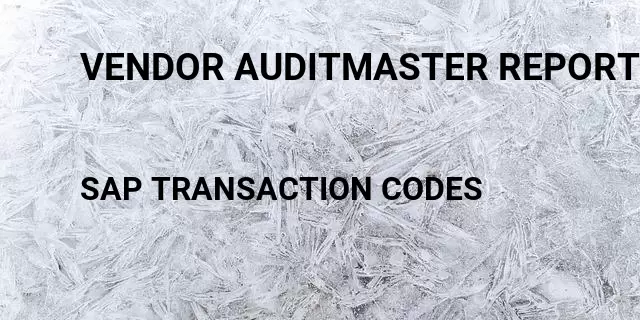 Vendor auditmaster report Tcode in SAP