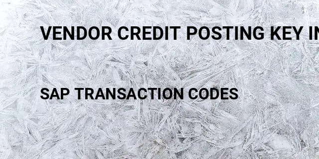 Vendor credit posting key in Tcode in SAP