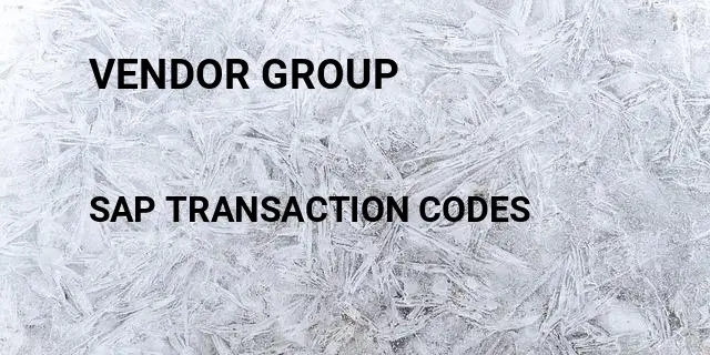 Vendor group Tcode in SAP