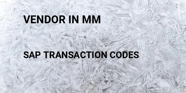 Vendor in mm Tcode in SAP
