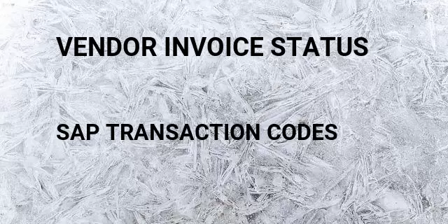 Vendor invoice status Tcode in SAP