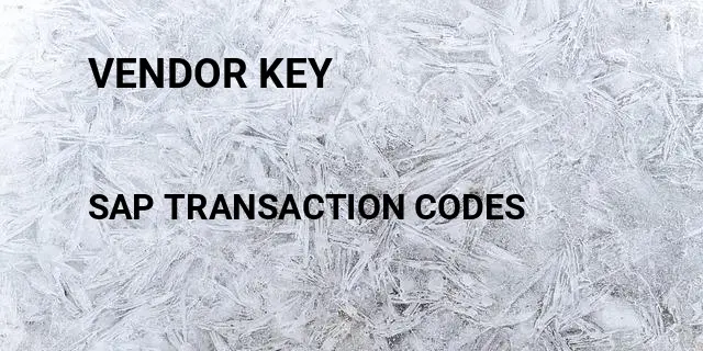 Vendor key Tcode in SAP