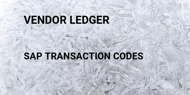 Vendor ledger Tcode in SAP