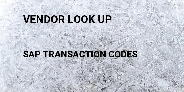 Vendor look up Tcode in SAP