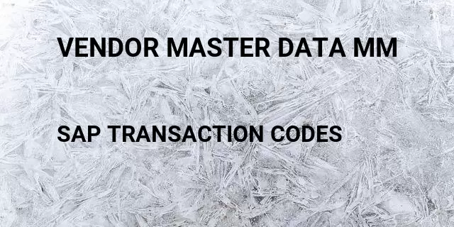 Vendor master data mm Tcode in SAP