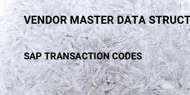 Vendor master data structure Tcode in SAP