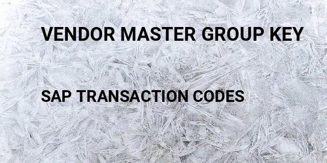 Vendor master group key Tcode in SAP