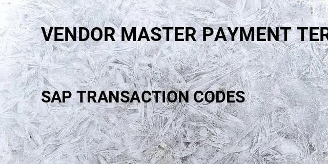 Vendor master payment terms Tcode in SAP