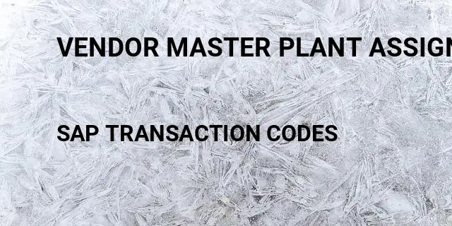 Vendor master plant assignment Tcode in SAP