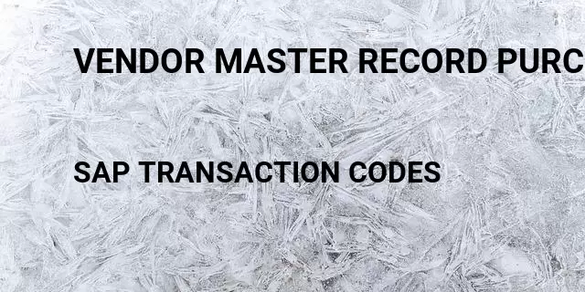 Vendor master record purchasing organization data Tcode in SAP