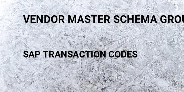 Vendor master schema group Tcode in SAP