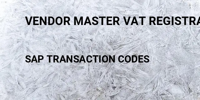 Vendor master vat registration number Tcode in SAP