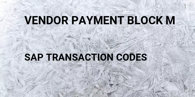 Vendor payment block m Tcode in SAP