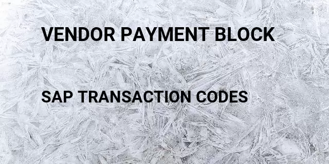 Vendor payment block Tcode in SAP