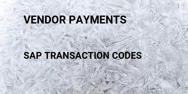 Vendor payments Tcode in SAP