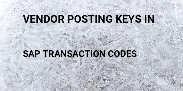 Vendor posting keys in Tcode in SAP