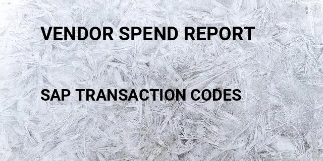 Vendor spend report Tcode in SAP