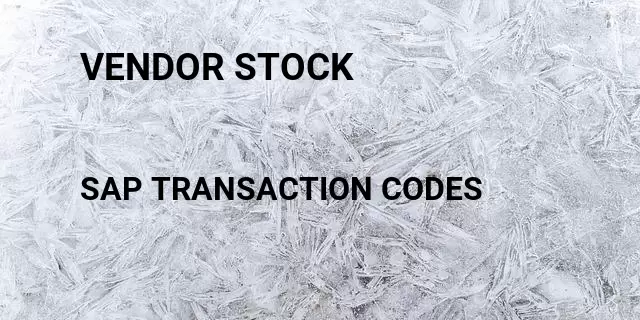 Vendor stock Tcode in SAP