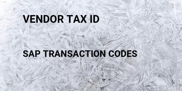 Vendor tax id Tcode in SAP