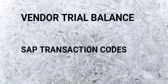 Vendor trial balance Tcode in SAP