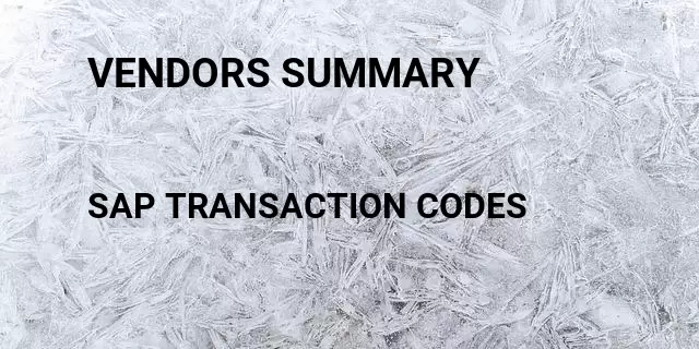 Vendors summary Tcode in SAP