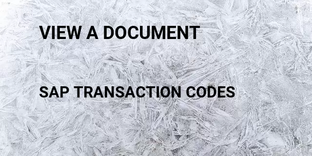 View a document Tcode in SAP