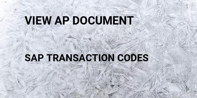 View ap document Tcode in SAP
