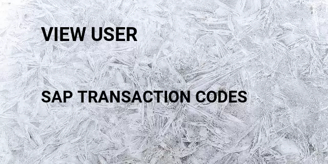 View user Tcode in SAP