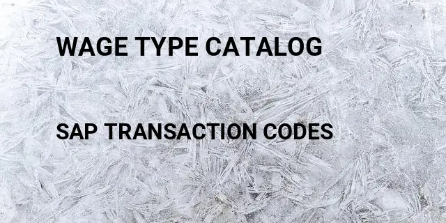 Wage type catalog Tcode in SAP
