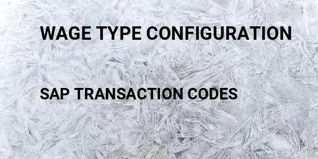 Wage type configuration Tcode in SAP