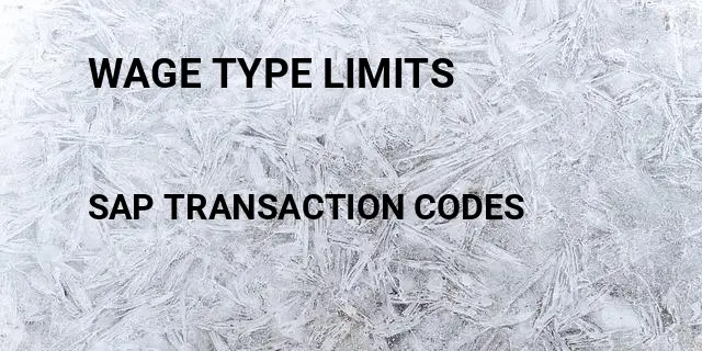 Wage type limits Tcode in SAP