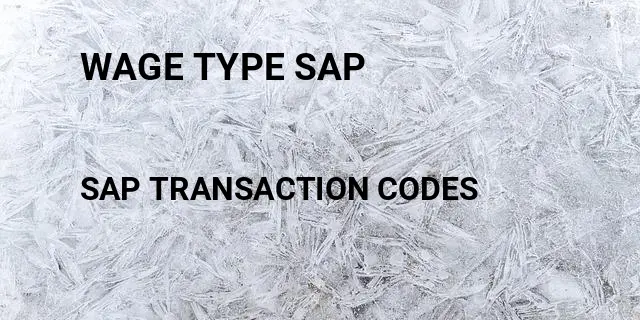 Wage type sap Tcode in SAP