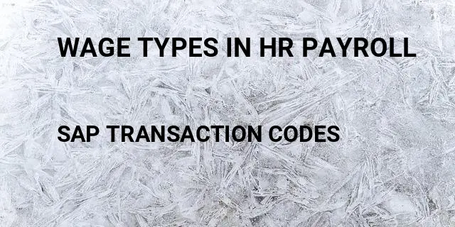 Wage types in hr payroll Tcode in SAP