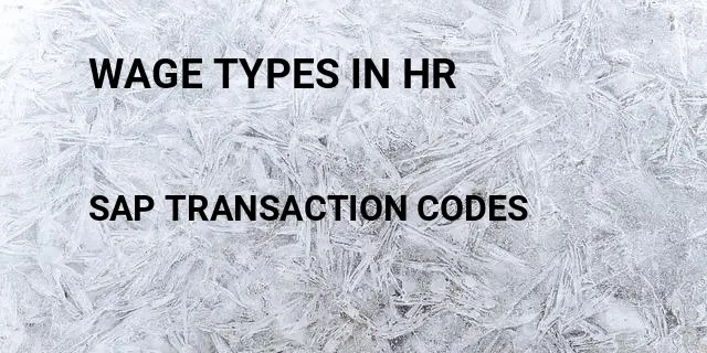 Wage types in hr Tcode in SAP