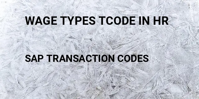 Wage types tcode in hr Tcode in SAP