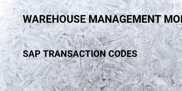 Warehouse management monitor Tcode in SAP