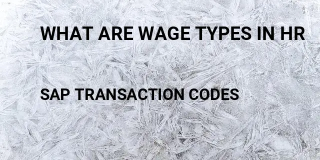 What are wage types in hr Tcode in SAP