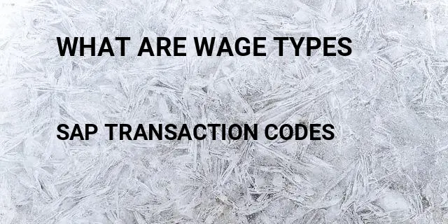 What are wage types Tcode in SAP